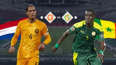 مشاهدة مباراة السنغال وهولندا بث مباشر TOD